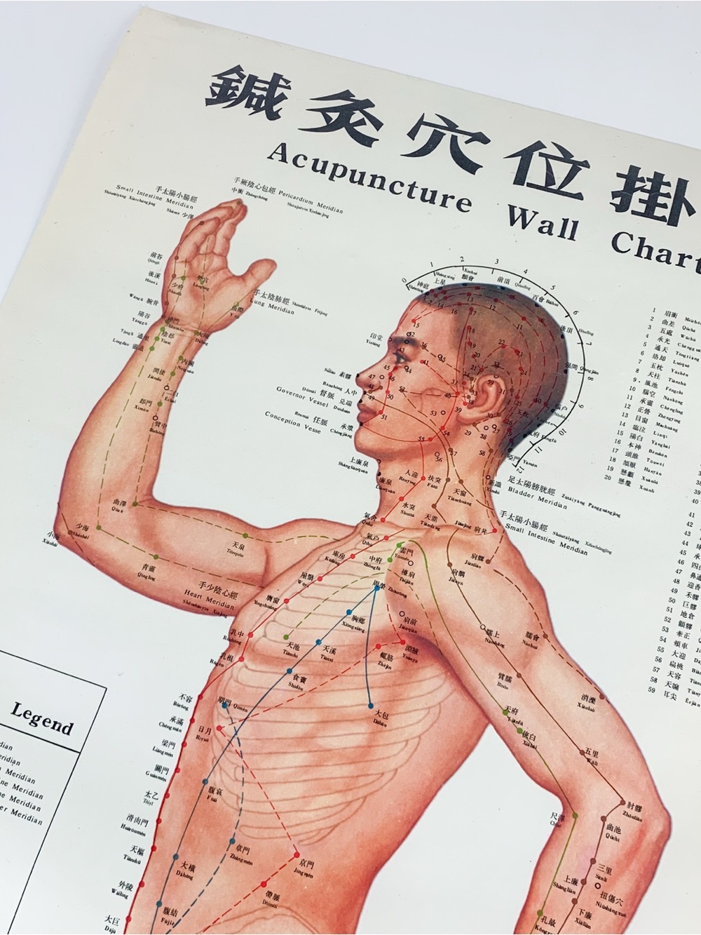 Vintage 70s Chinese Medicine Body Acupuncture Points Meridians Chart Wall Poster